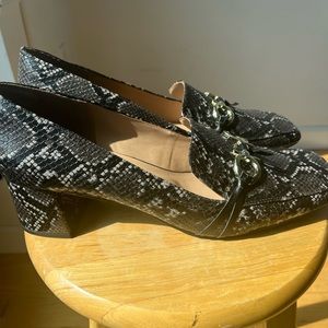 Eurico snake print shoes